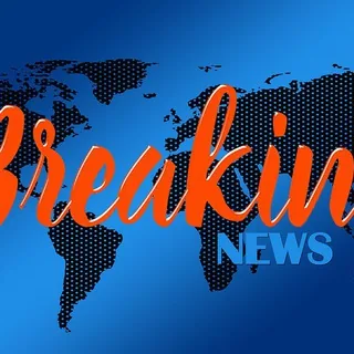 cryptonews 头像