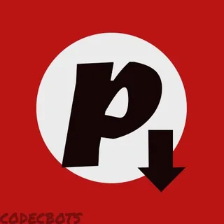 Pinterest Video Downloader 头像