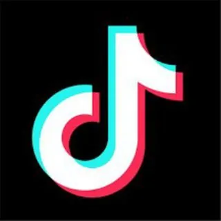 TikTok video Downloader 头像