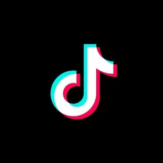 TikTok Downloader 头像
