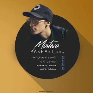 Morteza Pashaei 头像