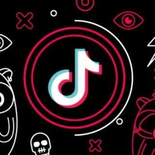 SnapTik - download TikTok video no watermark 头像