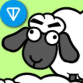 SheepCoin 头像
