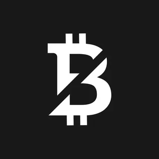NotBitCoin Bot 头像