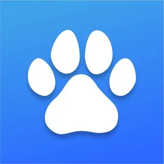 SpinDog 头像