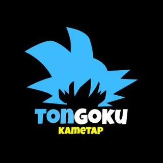 KameTap 头像
