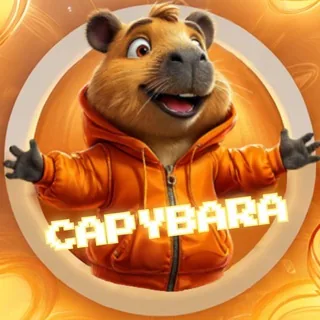 CapyBara 头像