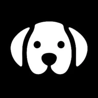 WhiteDogs 头像