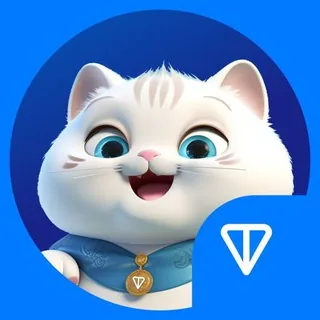 CaTon 头像
