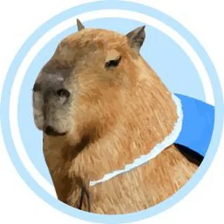 Capybara 头像