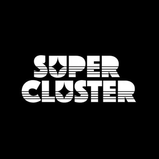 SUPERCLUSTER 头像