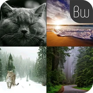 Bestwalls 头像