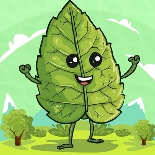 $GREEN COIN MEME | SOL 头像