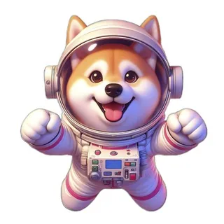 DogeX 头像
