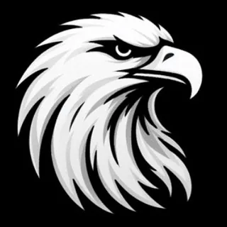 Eagle 🦅 头像