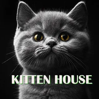 Kitten House Crypto 头像