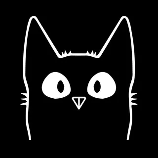 BLACKCAT 头像