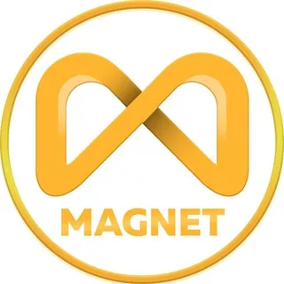 Crypto Magnet 🧲 头像