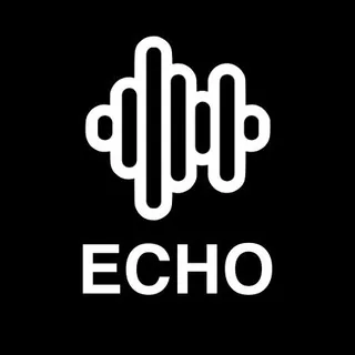 Echo - Q&A 头像
