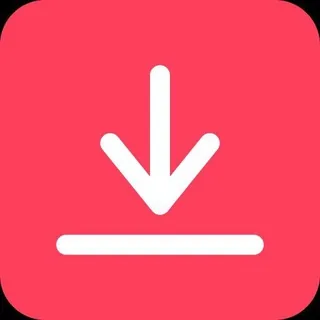 Tiktok Downloader | Douyin Downloader | Instagram | X 头像
