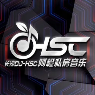 【DJ阿橙ReMix】音乐定制频道 头像