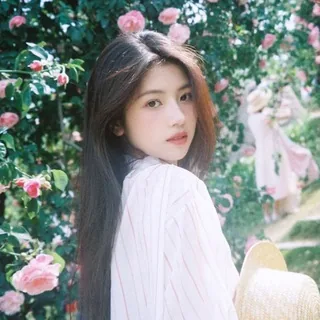 📸摄影 | 写真集 头像