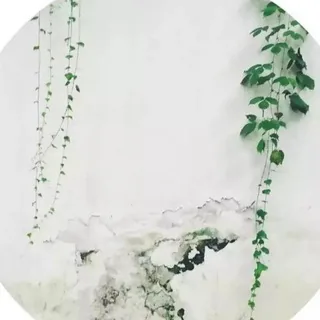 每日文章精选 头像