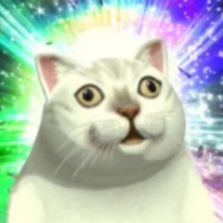 🐱MiaoTony's Box | 困困困 zzz 头像
